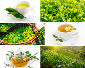 Teas that promote mental and cognitive health